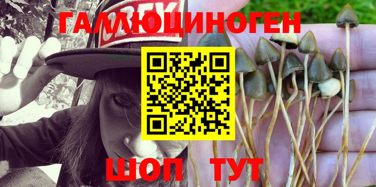 Выкса  Галлюциногенные грибы MAGIC MUSHROOMS  как найти закладки  Вход с VPN  Галлюциногенные грибы Cubensis 