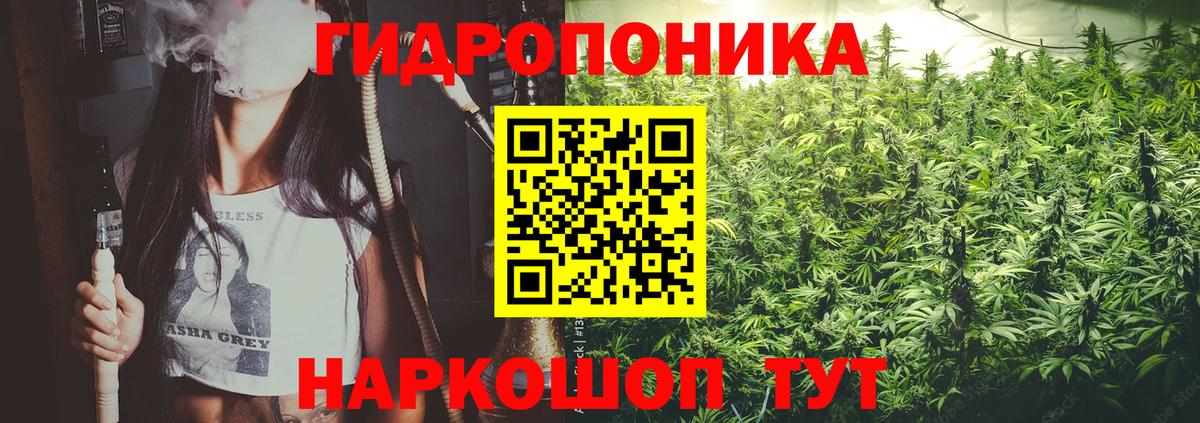 Бошки марихуана планчик  Вход с VPN  Марихуана индика  Выкса  Канабис Bruce Banner 